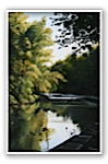 River In The Park by Muna Shabab